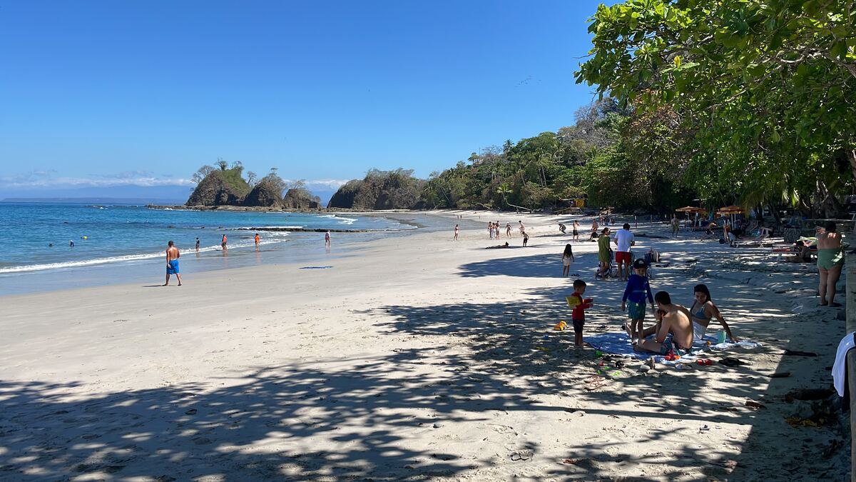 Guests walking the white sand beach under palm trees