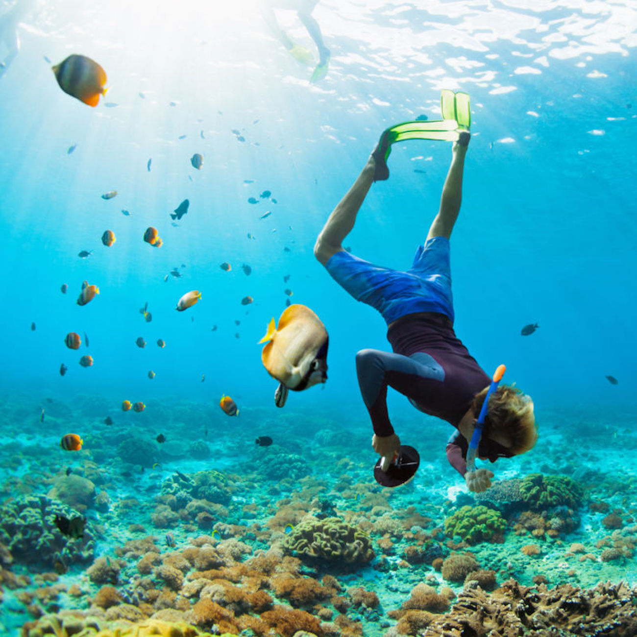 Bill, owner and guide of Snorkel Jaco