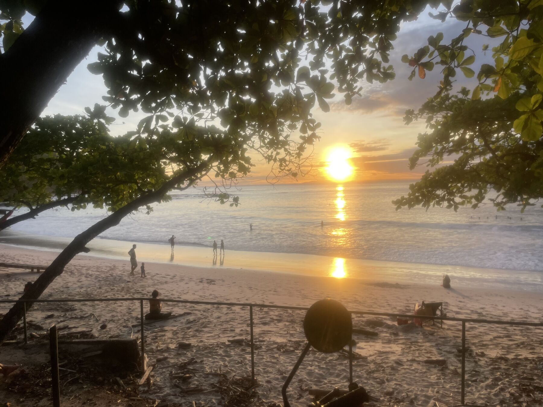 Green season snorkel tours Jaco Beach Costa Rica — golden sunset through the trees at Playa Mantas