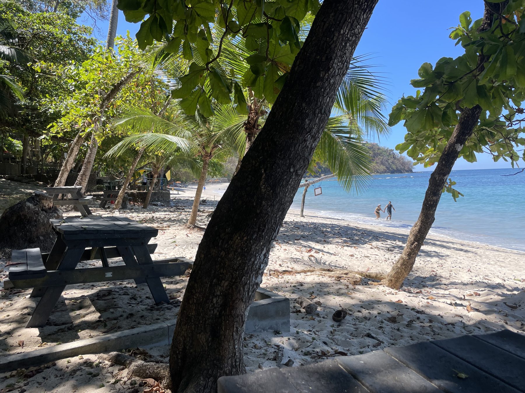 Palm-shaded white-sand cove near Jacó, Costa Rica — snorkel tour Jacó one-day itinerary