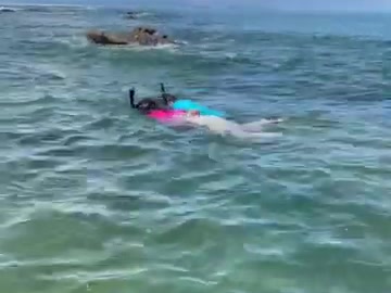 Guest snorkeling in clear calm water at Playa Mantas